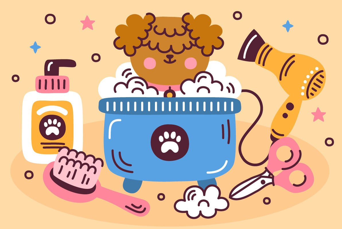 Hawthorn Dog Grooming